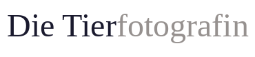 Die Tierfotografin